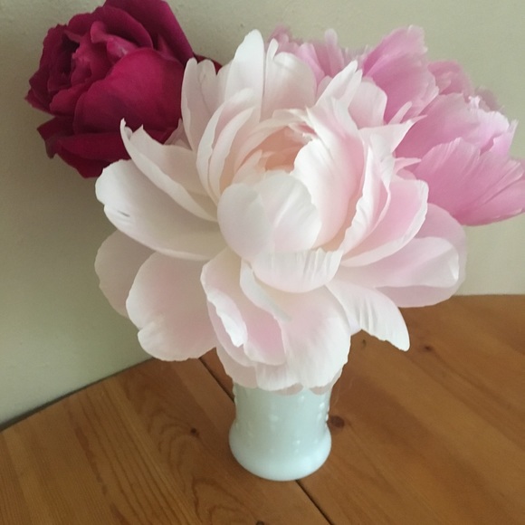 Meet your Posher, Kim - Picture 5 of 10